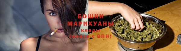 гидра Волоколамск