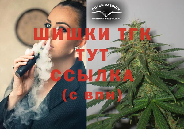 гидра Волоколамск