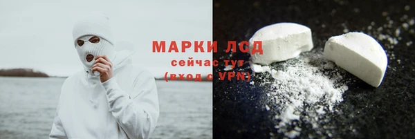 гидра Володарск