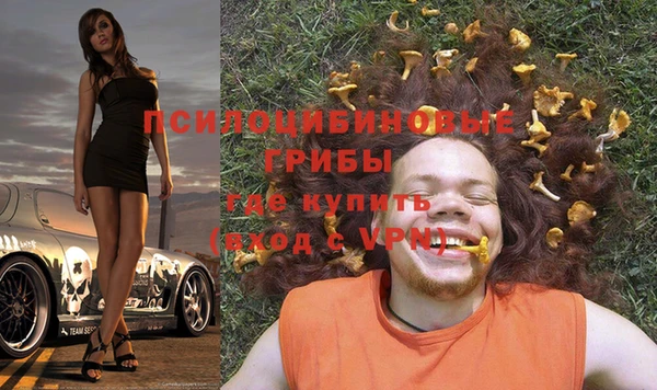 гидра Волоколамск