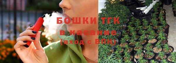 гидра Володарск