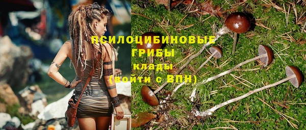 гидра Володарск