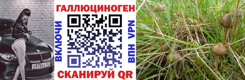 Псилоцибиновые грибы MAGIC MUSHROOMS  наркотики  Назарово 
